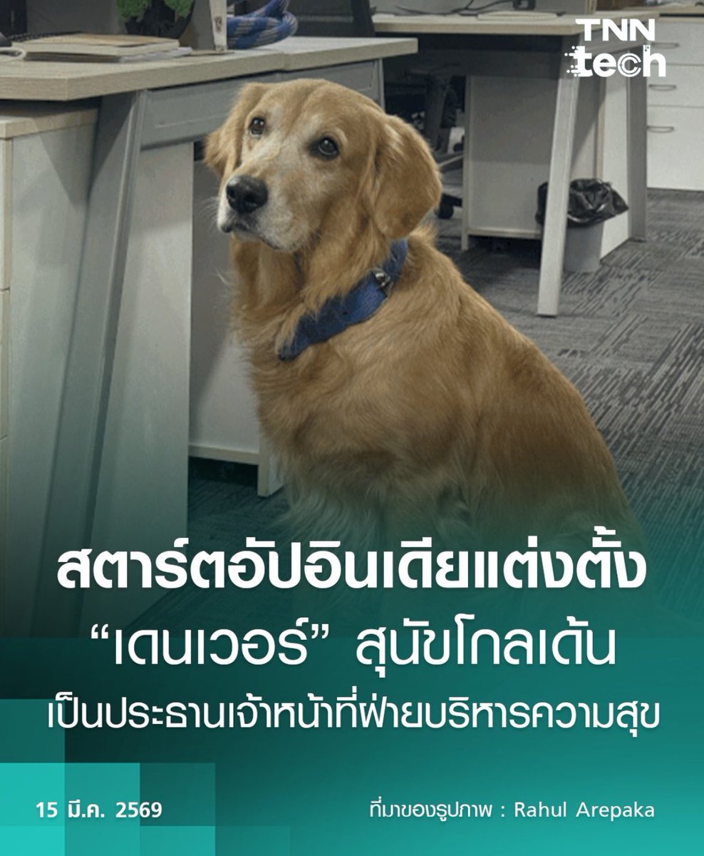 tonnyhahaha's tweet photo. ก็ถึงว่าไง นักบำบัดที่ไม่มีประกอบใบวิชาชีพคือหมาดำ 🫷🏻😮‍💨🫸🏻 https://t.co/cHS03n6sQE