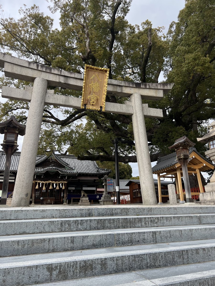 funassyi's tweet photo. そして百舌鳥八幡宮にお参りなっしー♪
ヾ(。゜▽゜)ノご神木である樹齢八百年の大楠木が見事♪
古墳に囲まれてパワースポットとしても有名なっしー♪
みんなが健康であります様に https://t.co/n4JqV6elL3