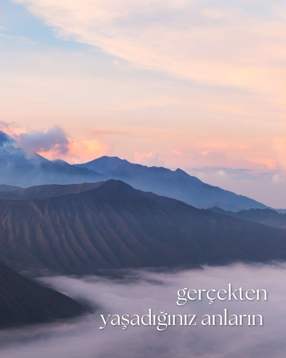 Litera Yayıncılık tweet media