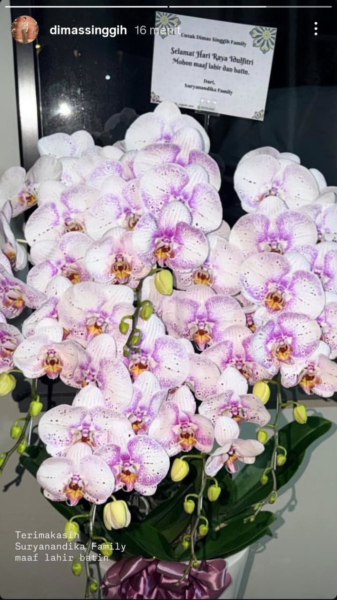 senior cheri𓂃 ִֶָ𐀔 tweet media