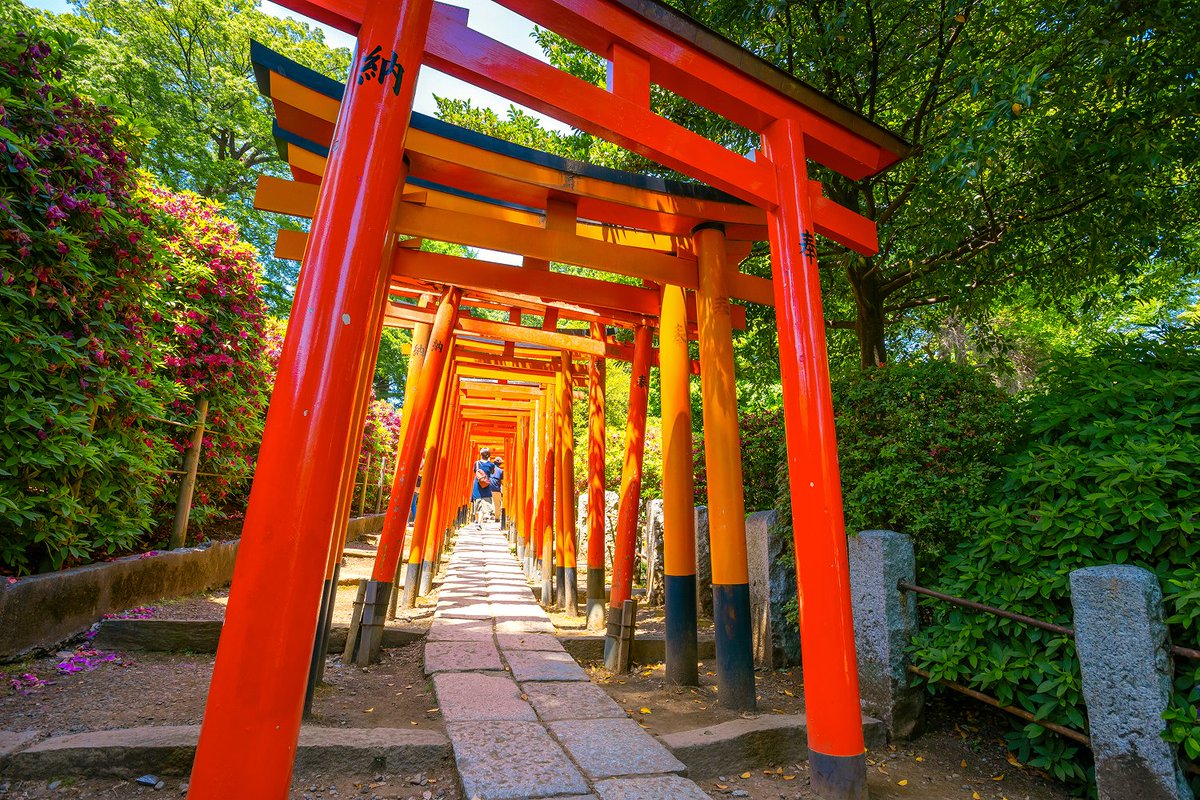 Japan Travel tweet media