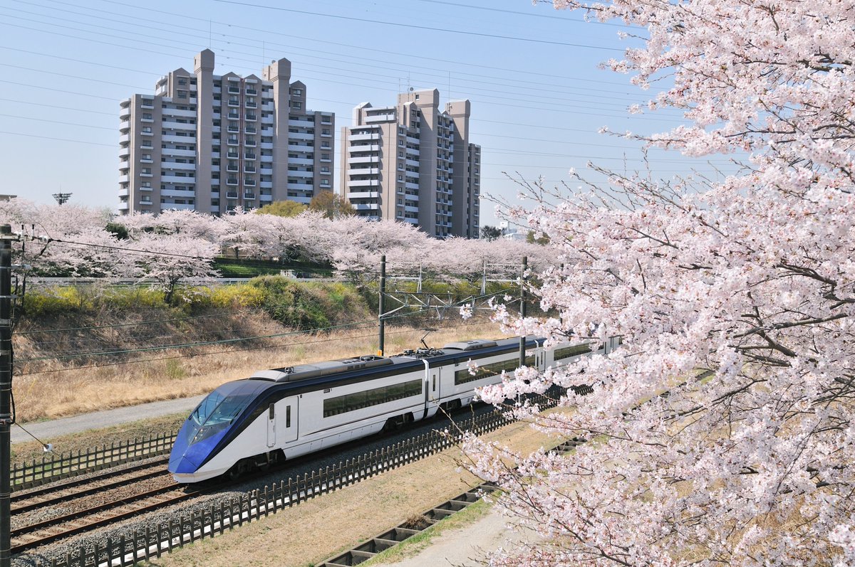 Japan Travel tweet media