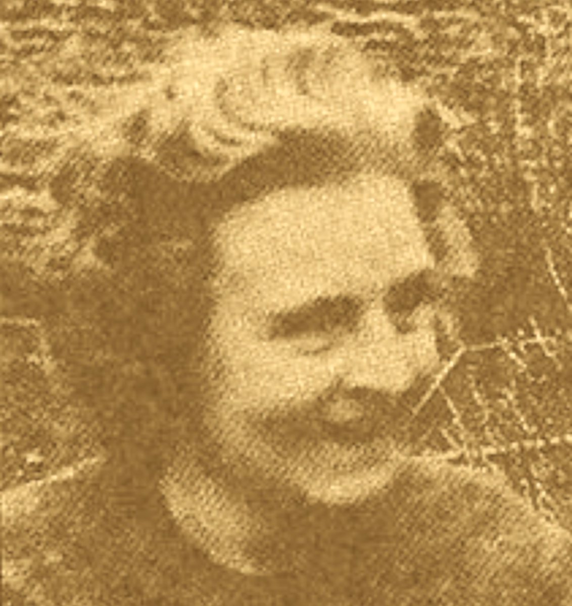 Paroles de Combattants de la Libération tweet media