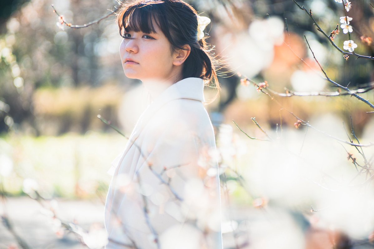 杉本健太/写真家 tweet media