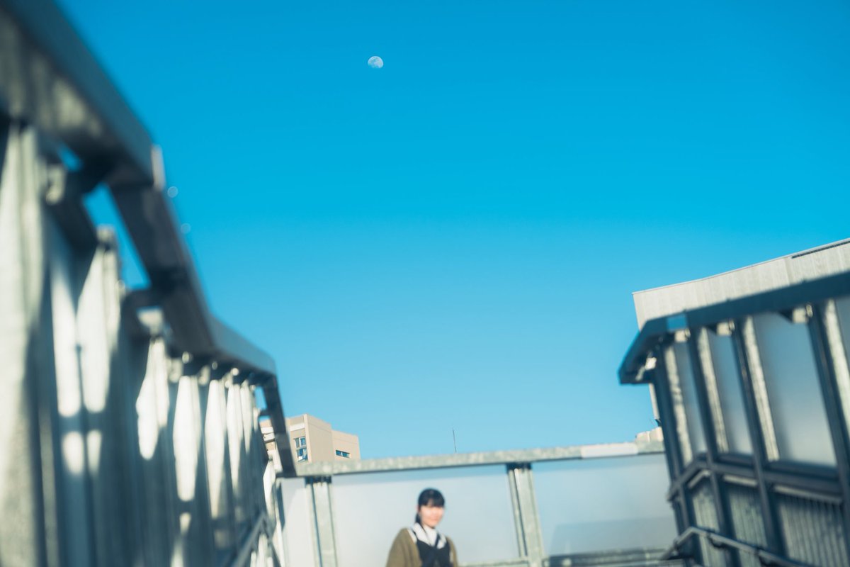 杉本健太/写真家 tweet media