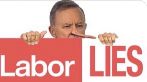 Rosita Díaz tweet media