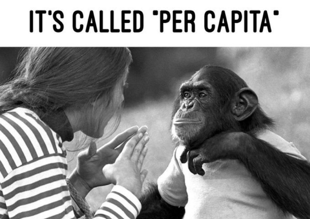 ᴀ ɴᴏɴ ɢᴇɴᴛʟᴇ ɢᴇɴᴛɪʟᴇ tweet media