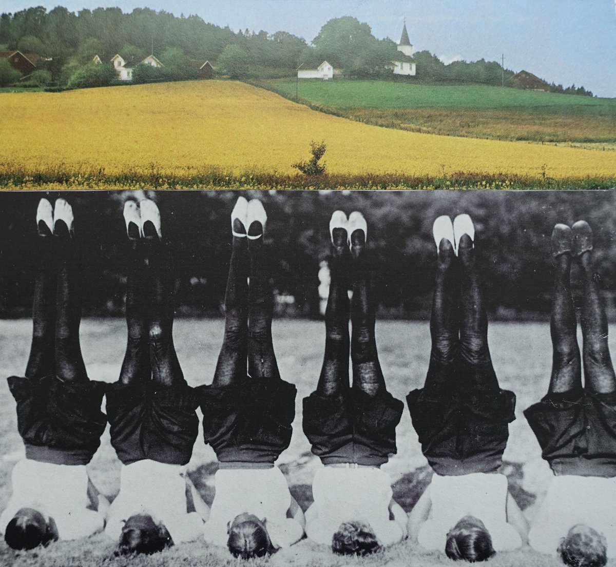 Ilja Simons | 𝙙𝙤𝙙𝙨𝙞𝙘𝙡𝙚 tweet media