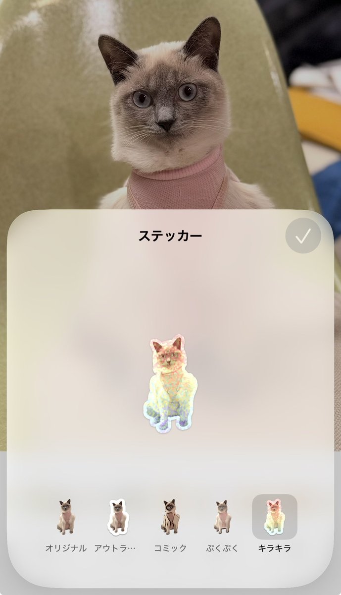 セキケイコ tweet media