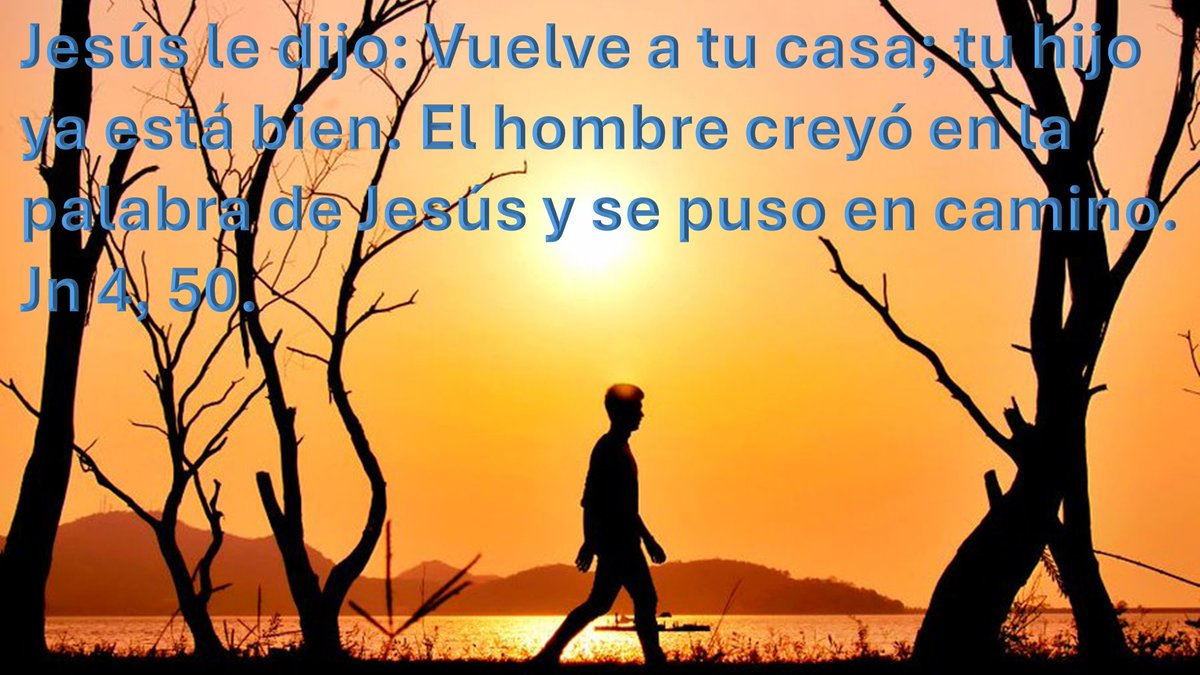 Orar con el evangelio tweet media