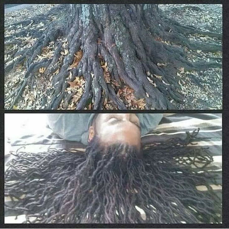 Y’all worried about cloud seeding and weather control, repeating the narrative you’re fed.

Electroculture shows something simpler — copper in the soil moves energy and disperses stagnant clouds.

Instead, we keep extracting from Mama Earth to manufacture solutions the land