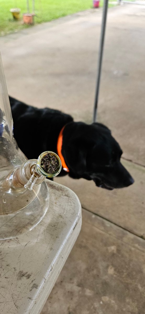 shisler671.eth tweet media