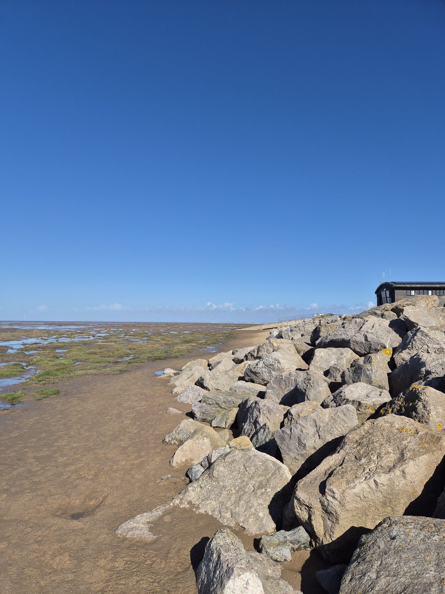 Sheila Patel tweet media