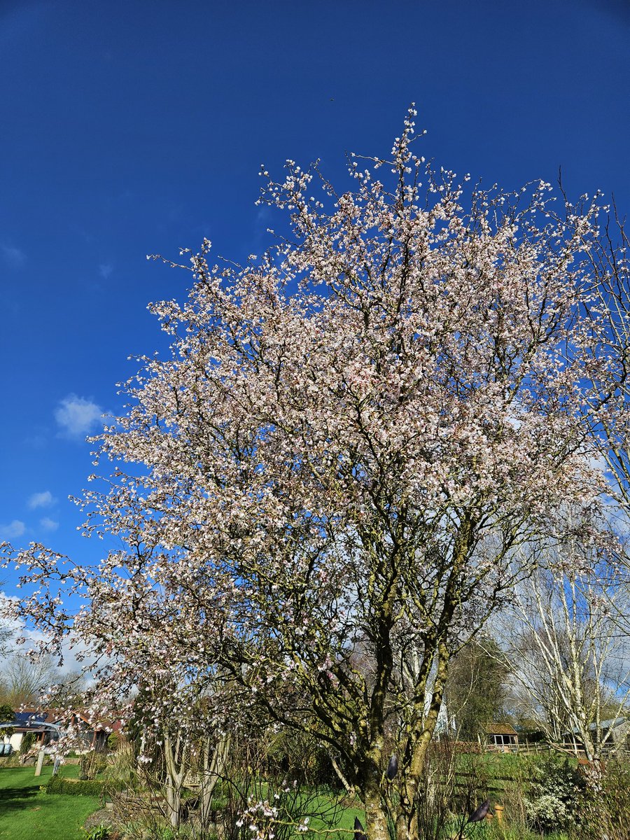 🌿Helen Brown tweet media