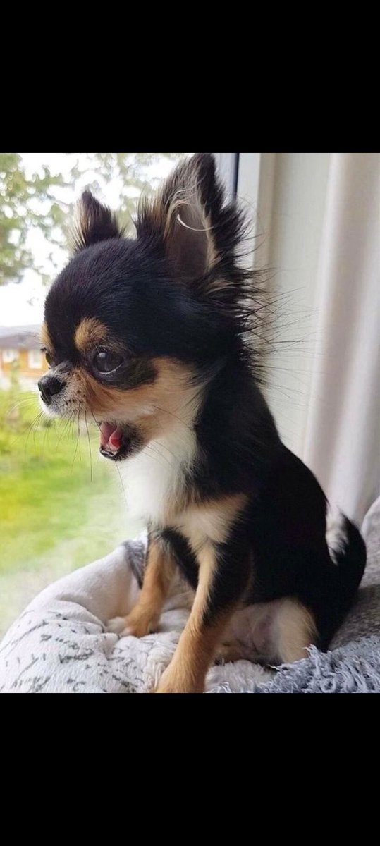 S'fiso aka 🇿🇦🦅 tweet media