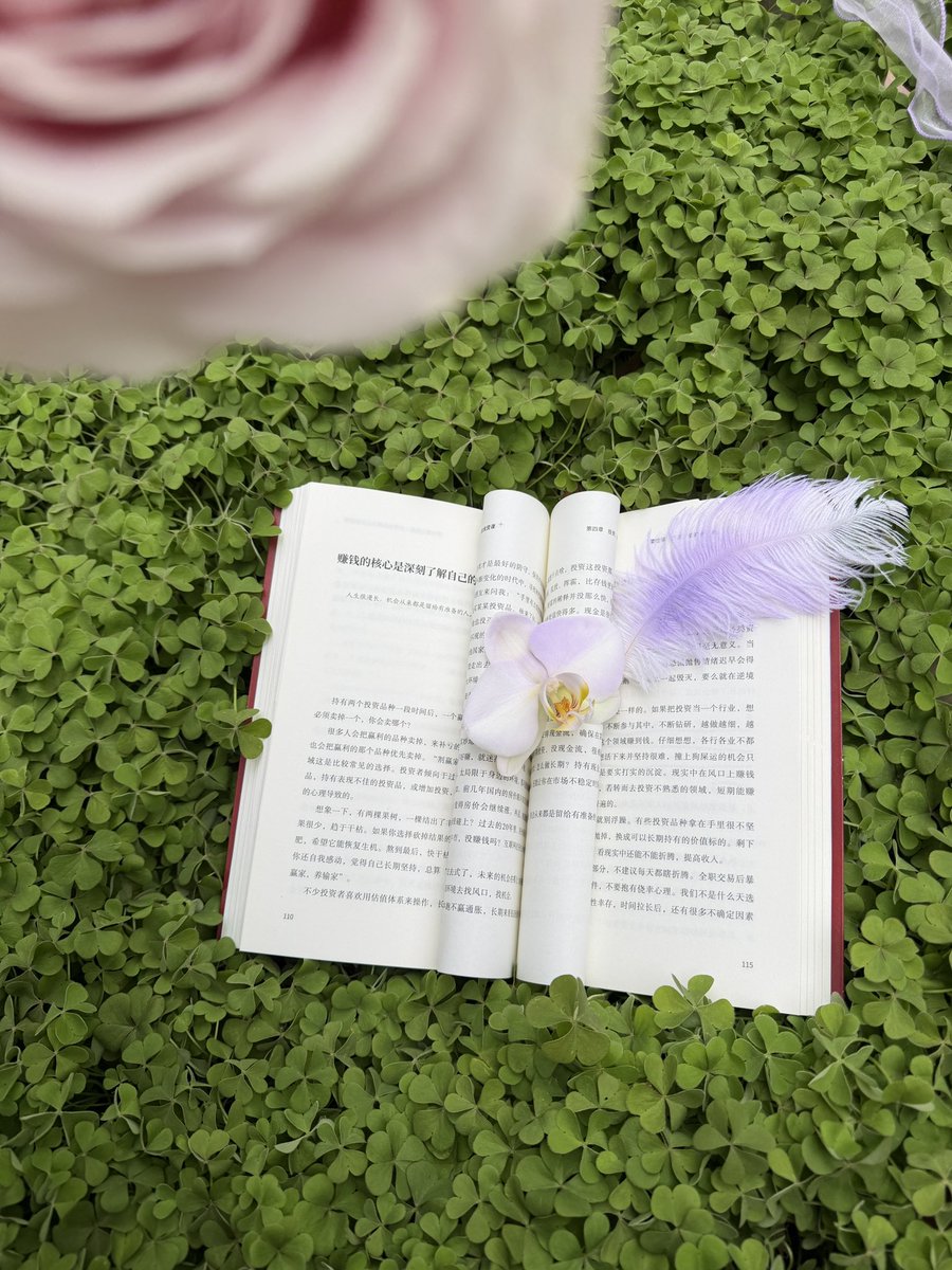 Amour_Lcjing tweet media