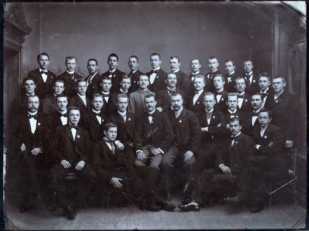 Riddersporre tweet media