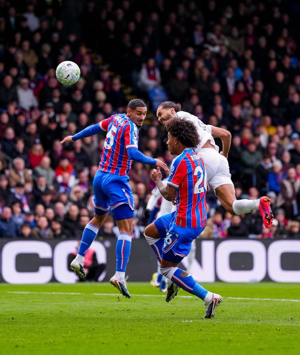 Team Called Palace tweet media