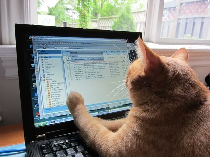 THULEJUSTUS tweet media