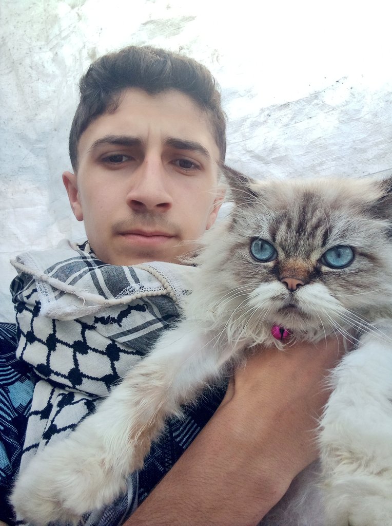 Ali From Gaza tweet media