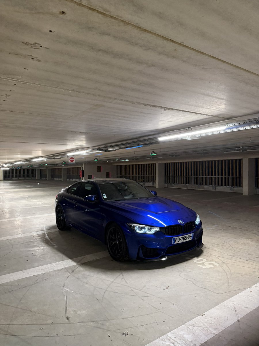 Exotics Master tweet media