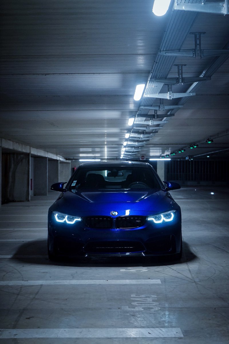 Exotics Master tweet media