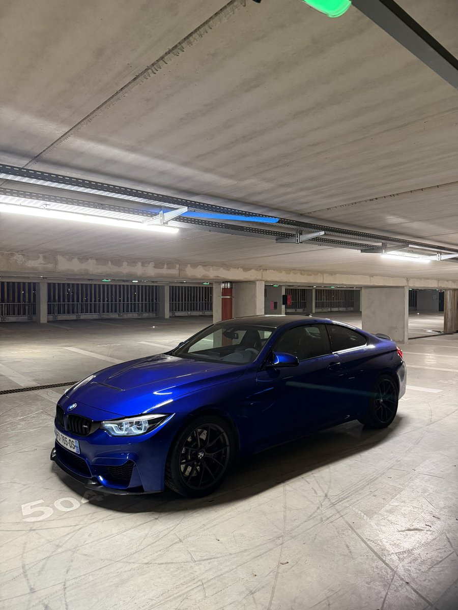 Exotics Master tweet media