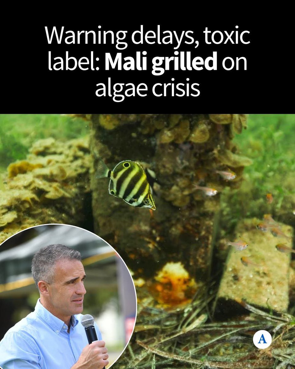 mary poppins tweet media