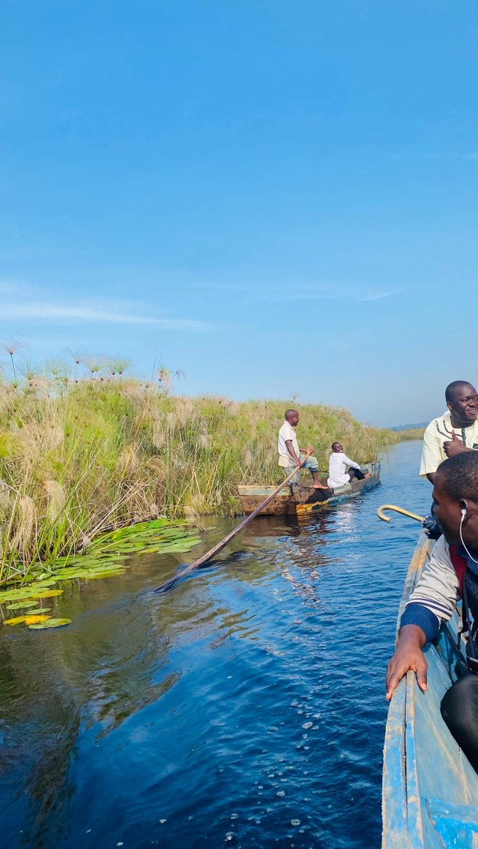 Treescape Planet Organization tweet media