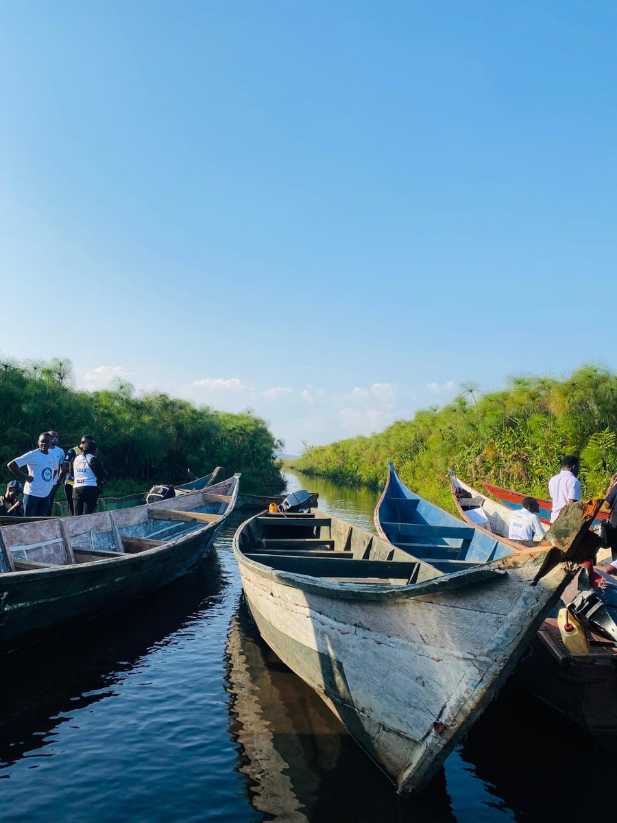 Treescape Planet Organization tweet media