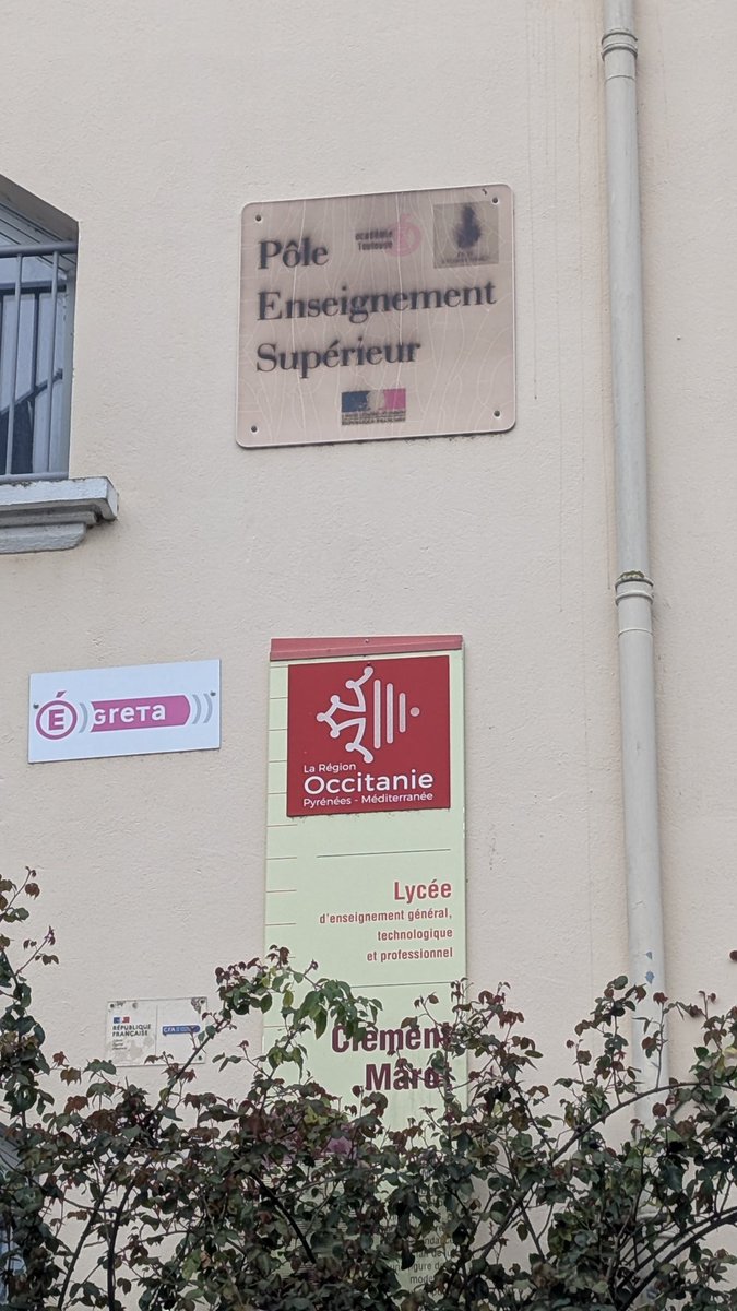 David 🇲🇫🇵🇹🏴󠁧󠁢󠁳󠁣󠁴󠁿🇬🇷🇸🇾🇲🇽🇲🇹 tweet media