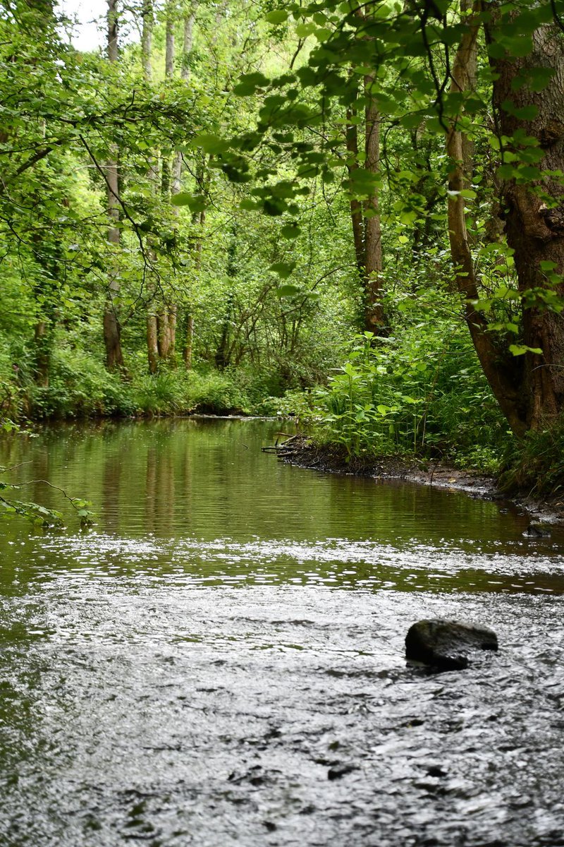 Field Studies Council tweet media