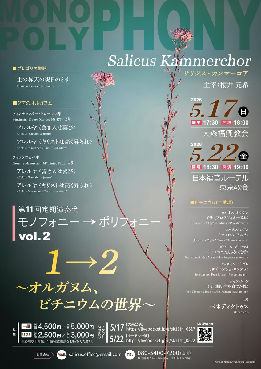 Genki Sakurai 櫻井元希 tweet media