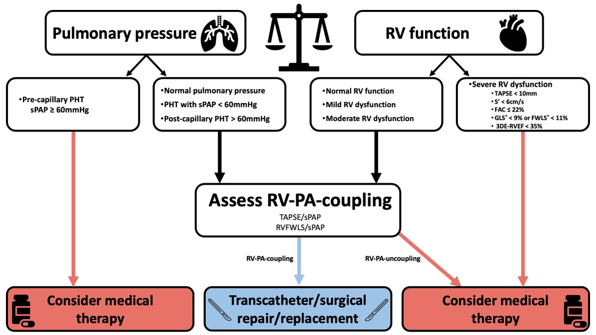 Reviews in Cardiovascular Medicine tweet media