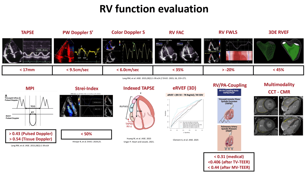 Reviews in Cardiovascular Medicine tweet media
