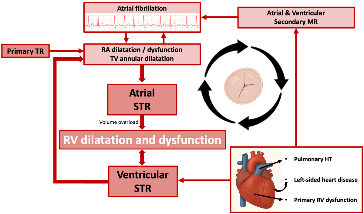 Reviews in Cardiovascular Medicine tweet media