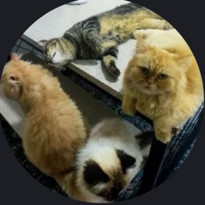 ObedHgh's tweet photo. #NewProfilePic https://t.co/oOkuhUr8Tv