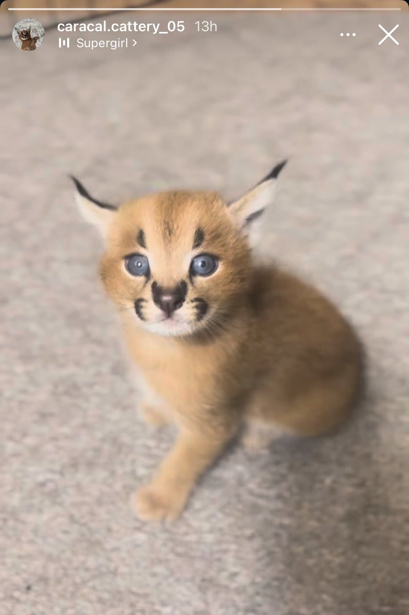 น่ารักอะ ใครจะคิดว่าโตมาน้ำหนักเกือบ20โล