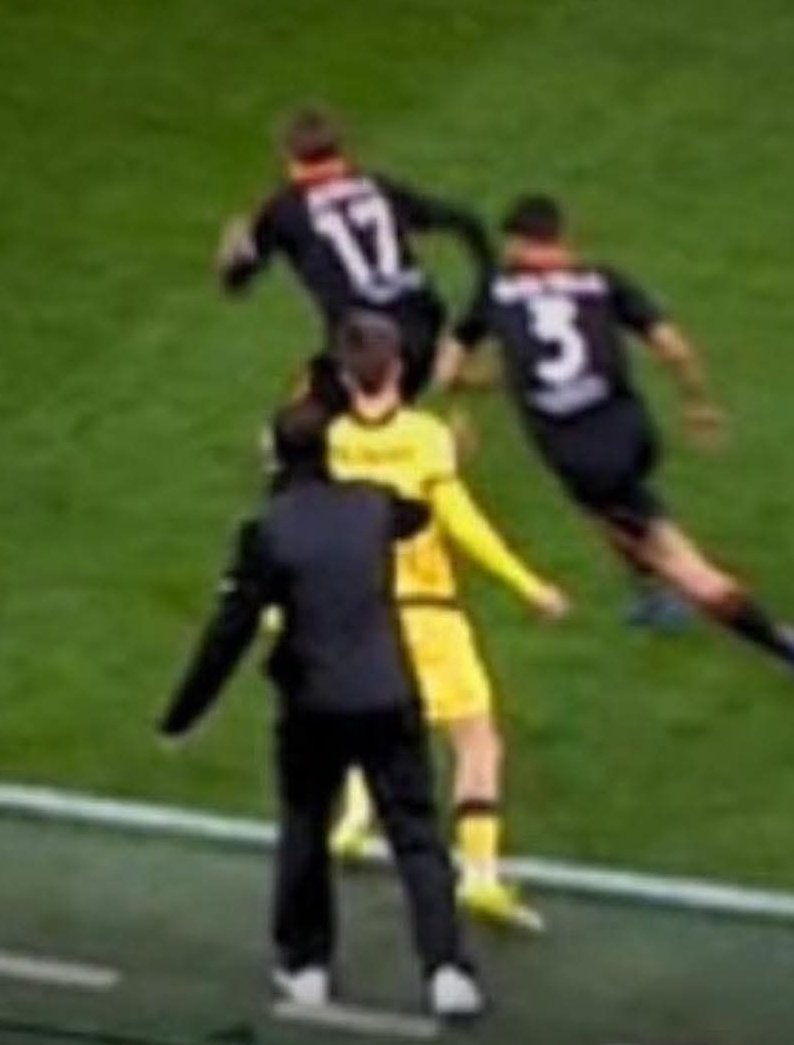 InfoSughi®️ tweet media