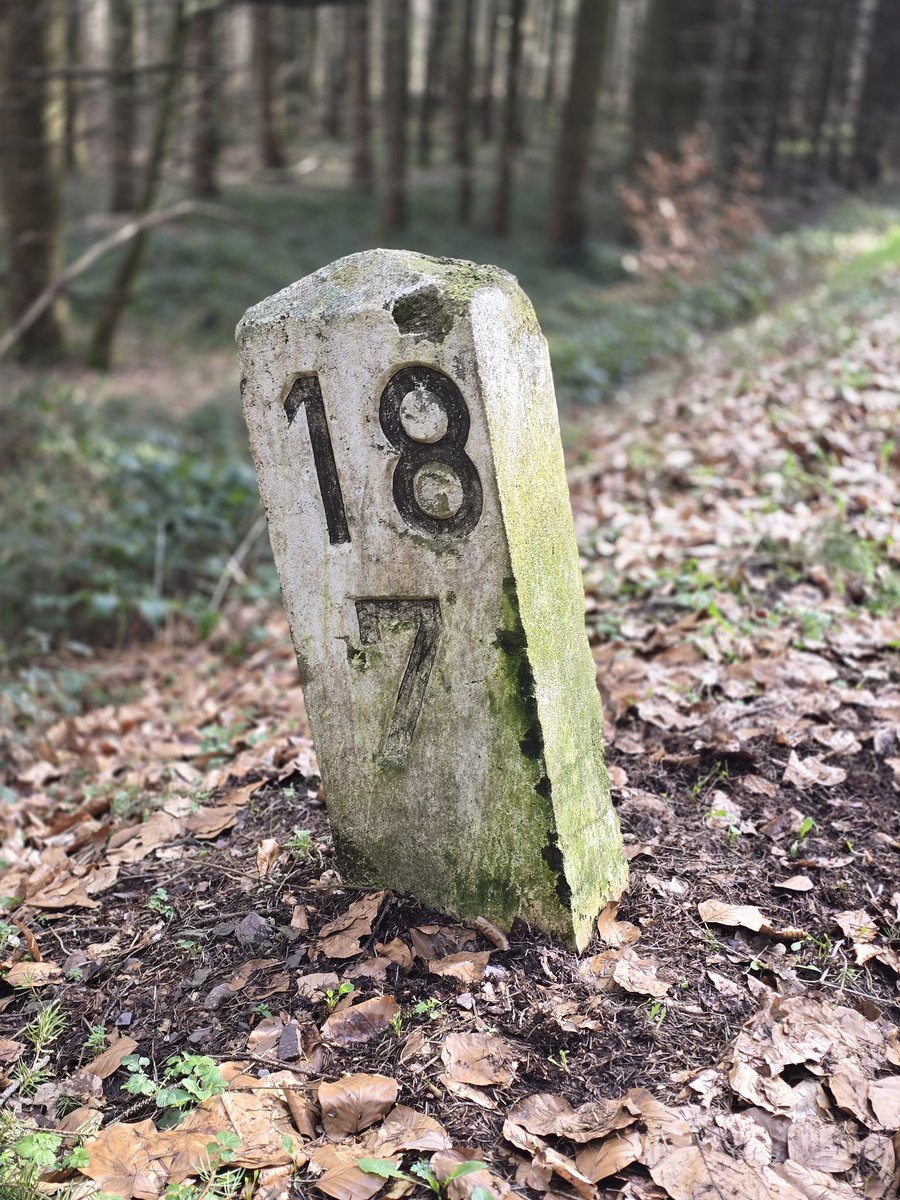 Phyneox🥶🤹 tweet media