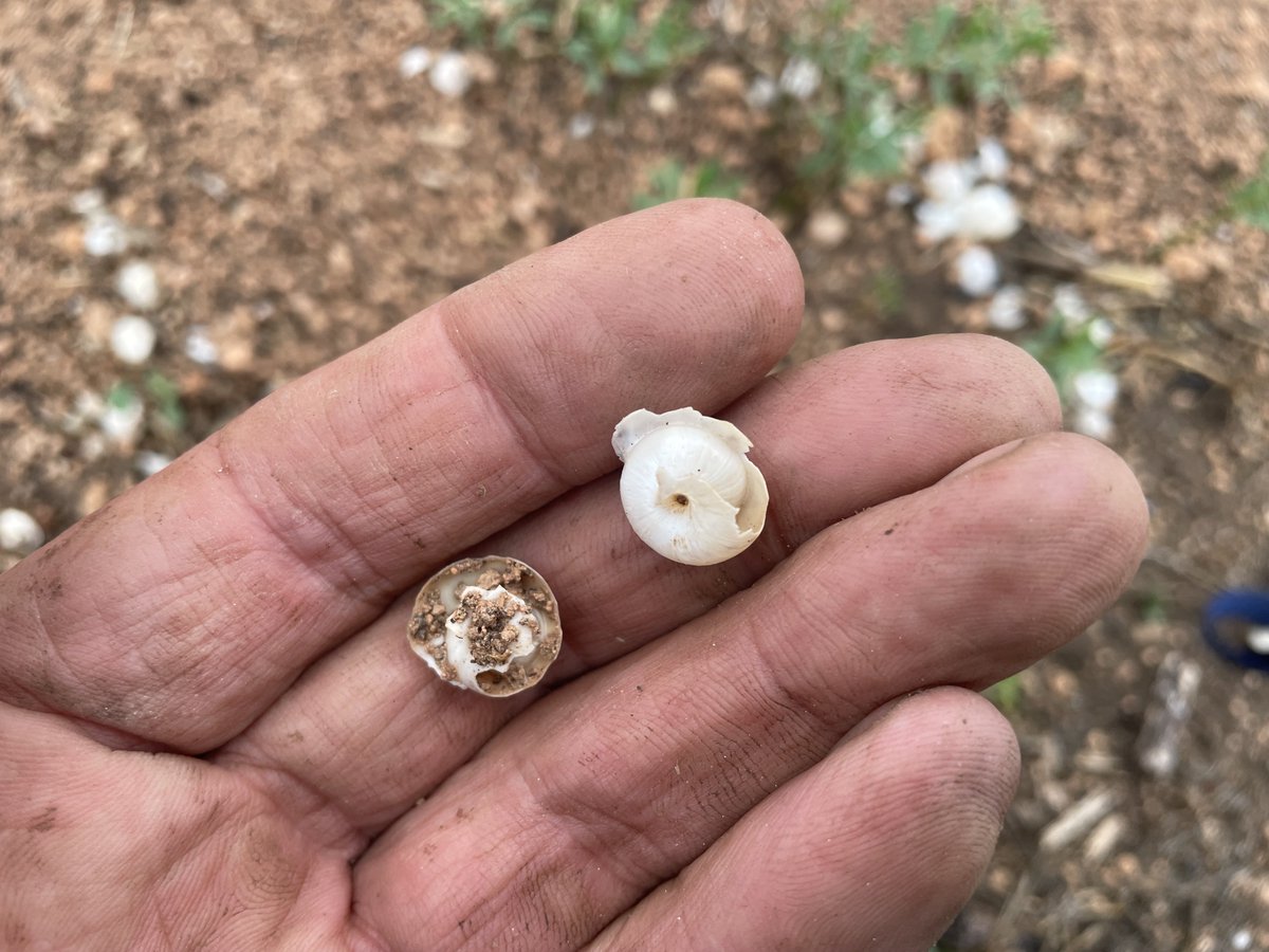 Mark Modra tweet media