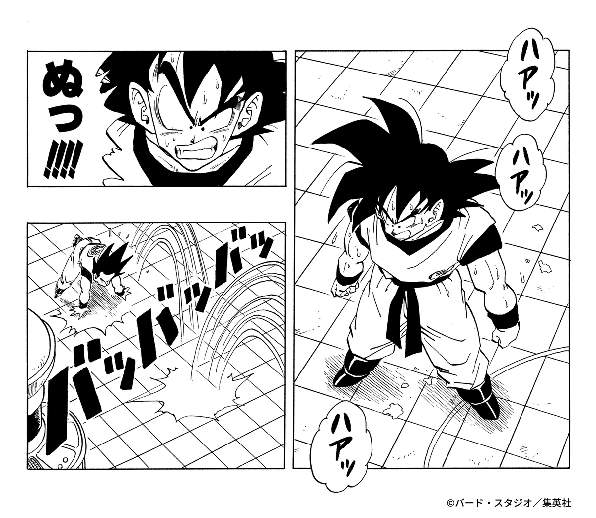 ドラゴンボールオフィシャル tweet media