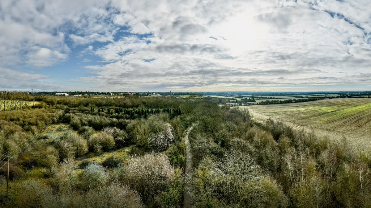 Coton Loves Pollinators 🐝 🍃💚🍃 tweet media