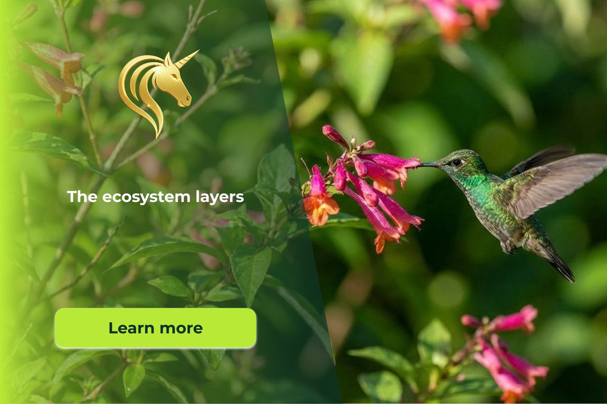 SanTerris One tweet media