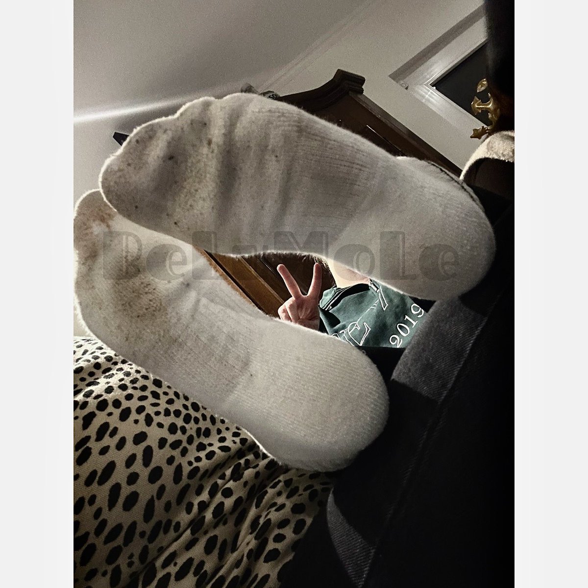belumole's tweet photo. Einen schönen Montag wünschen wir euch. 

Auf eine Woche voller Sehnsüchte und Begierden nach unseren dreckig stinkigen Socken… 

https://t.co/tqGfGDFoyi https://t.co/17evezDTbl
