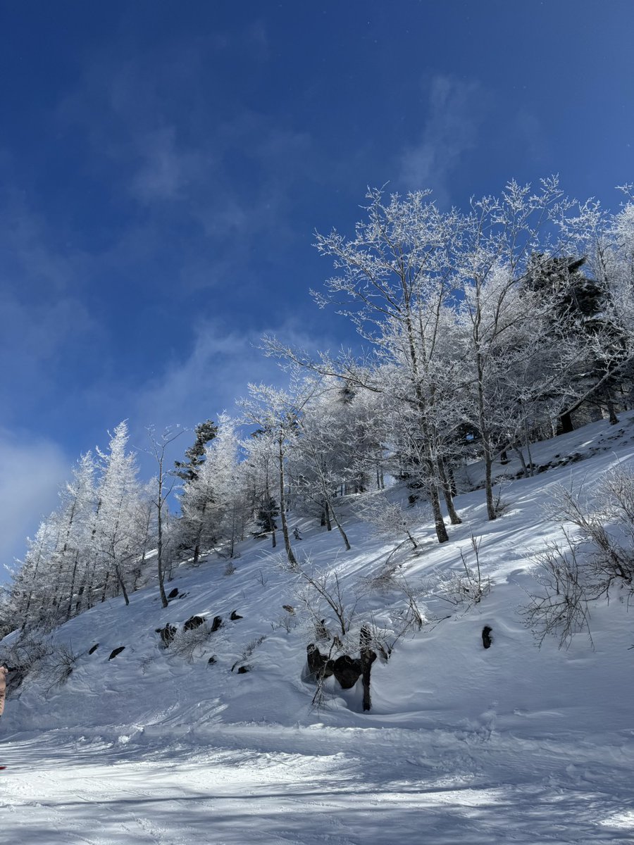 株式会社エージェントゲート -AgentGate- tweet media