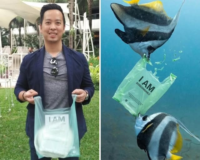 นักชีววิทยาได้พัฒนาถุงที่ทําจากมันสําปะหลังที่ย่อยสลายในน้ําและทําหน้าที่เป็นอาหารสําหรับปลา