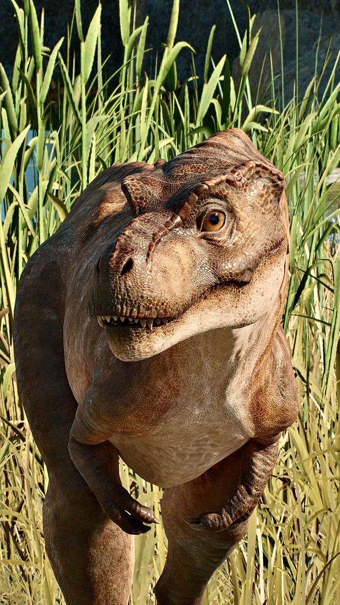 📸－FIRST－📸 tweet media