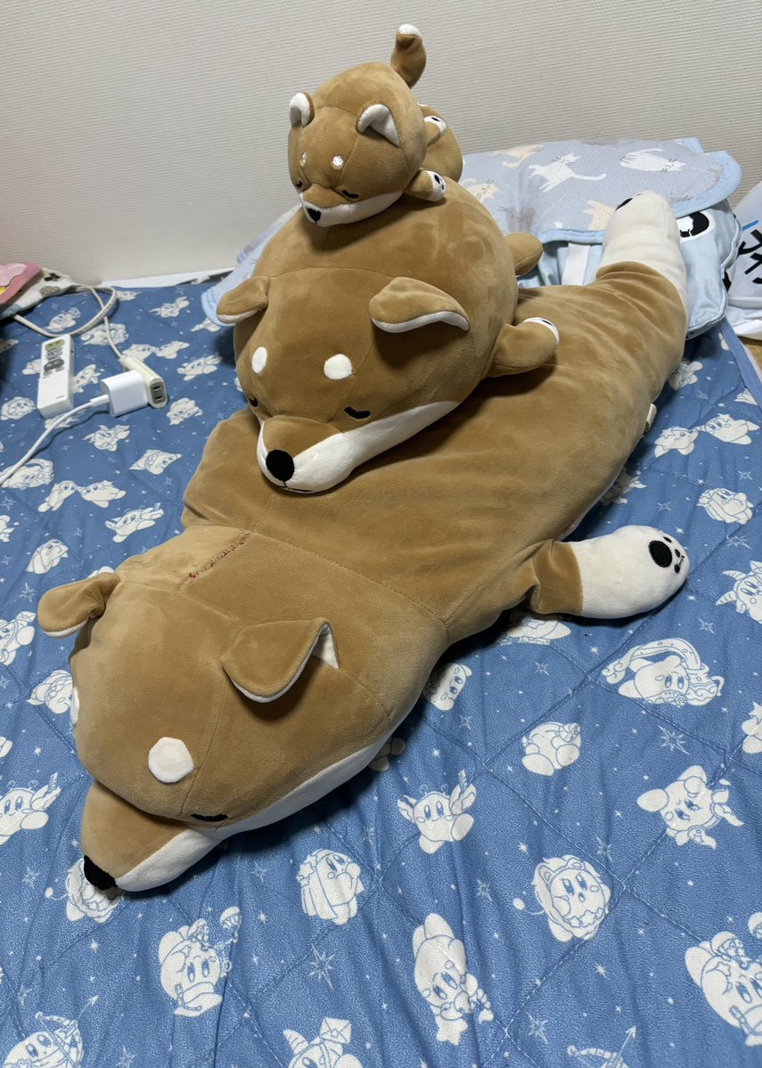 あきら tweet media