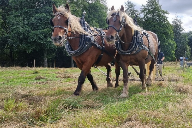 Enable Parks Wandsworth tweet media